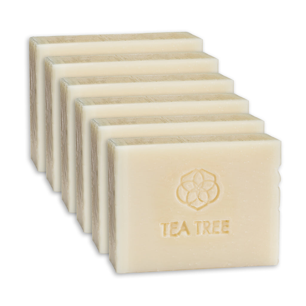 Meliora Bath & Body Bar Soap - Non-Toxic Zero-Waste Castile Soap 6-Pack (Tea Tree)