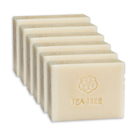 Meliora Bath & Body Bar Soap - Non-Toxic Zero-Waste Castile Soap 6-Pack (Tea Tree)