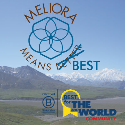 Meliora Means Best (for the World)!