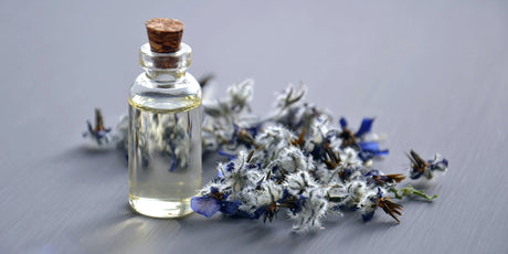 Organic Essential Oils: Meet Your Ingredient — Meliora Cleaning Products