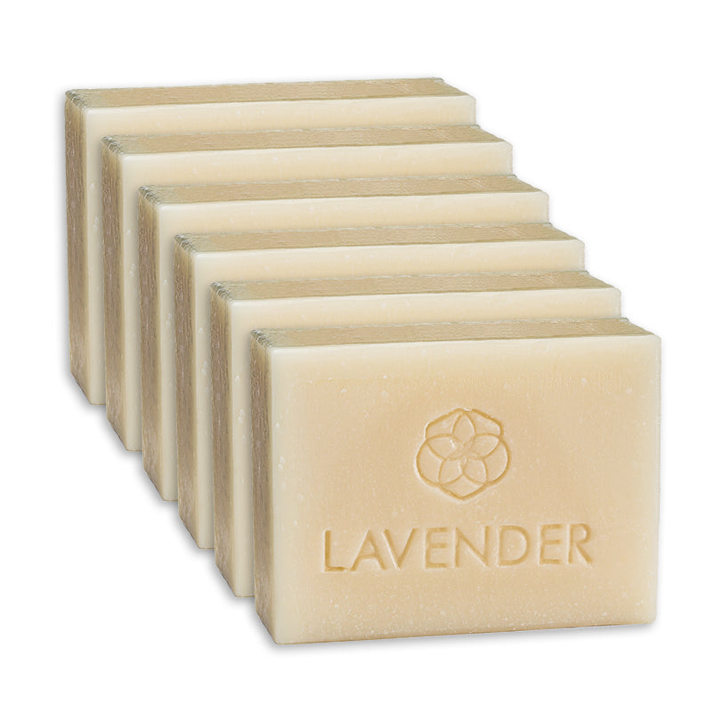 Meliora Bath & Body Bar Soap - Non-Toxic Zero-Waste Castile Soap 6-Pack (Lavender) 